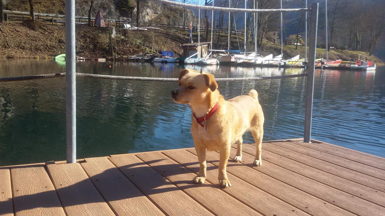 Hotel Garni My Ledro Pieve Di Ledro Dış mekan fotoğraf